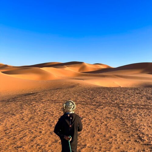 Descubre el desierto